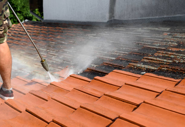 Best Pressure Washing Near Me  in Ben Bolt, TX